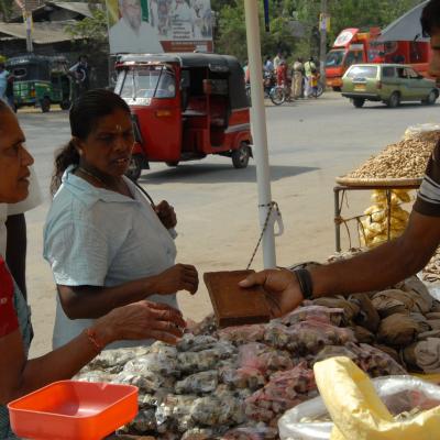 Jaffna Nalur 2