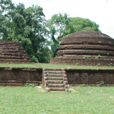 Kotte4