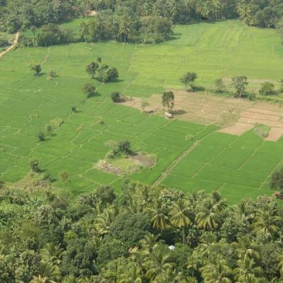 Sigiriya10