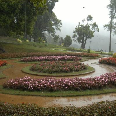 Nuwara Eliya1