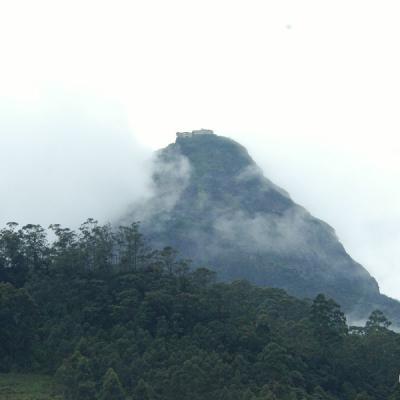 Nuwara Eliya9